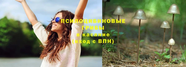 спиды Алзамай