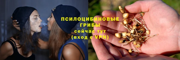 бошки Абаза