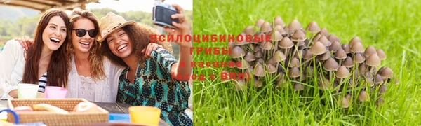 прущая мука Алексеевка